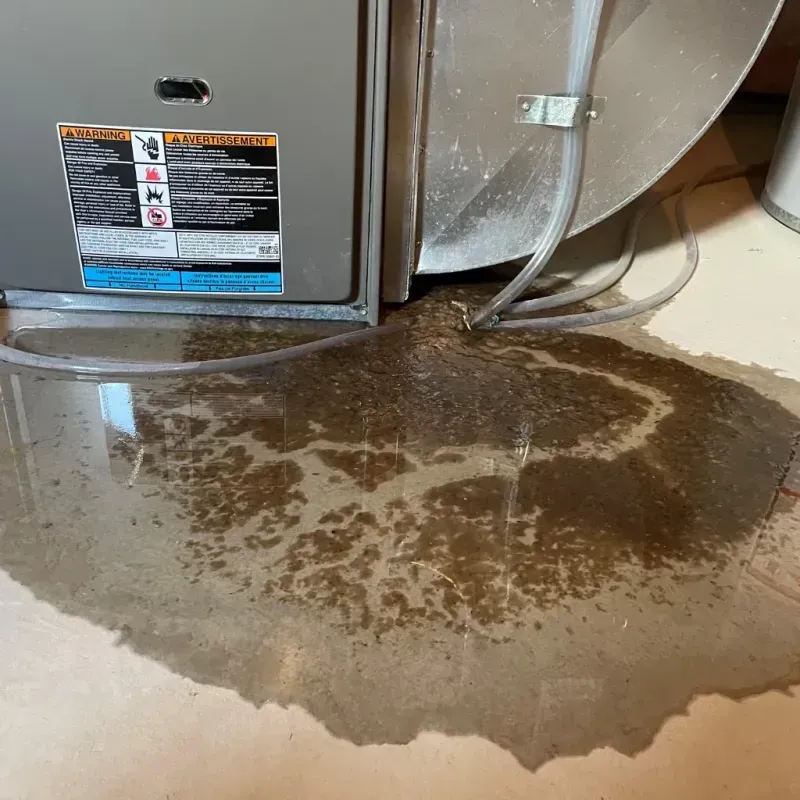 Appliance Leak Cleanup in Spring Grove, IL